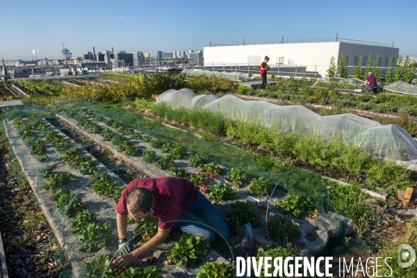 Un Opéra pour des légumes