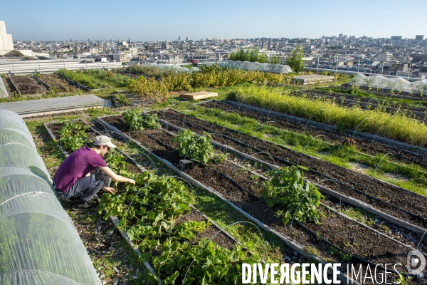 Un Opéra pour des légumes