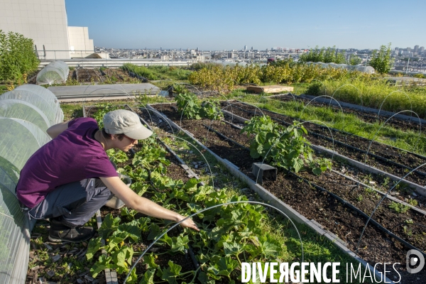 Un Opéra pour des légumes