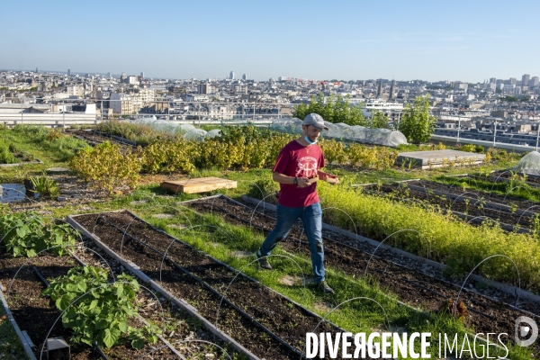 Un Opéra pour des légumes