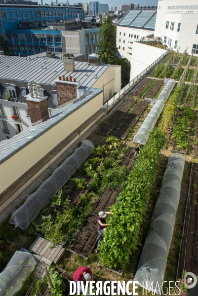 Un Opéra pour des légumes