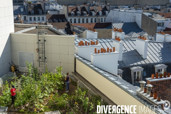 Un Opéra pour des légumes