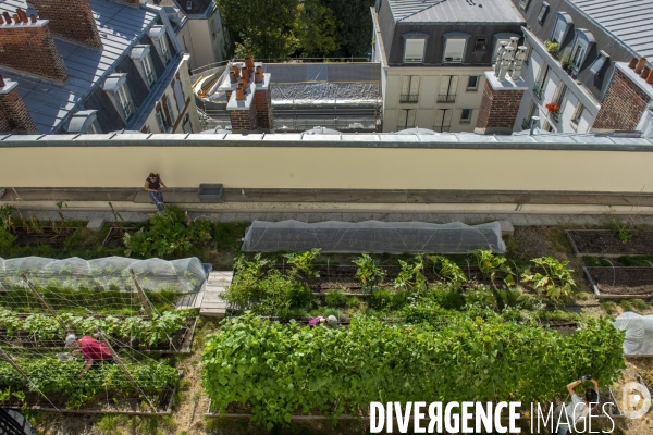 Un Opéra pour des légumes