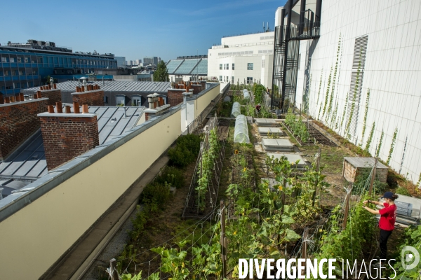 Un Opéra pour des légumes