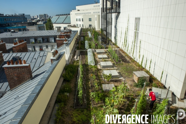 Un Opéra pour des légumes