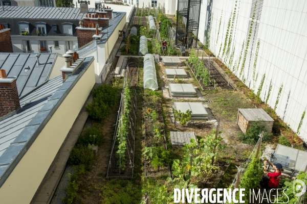 Un Opéra pour des légumes