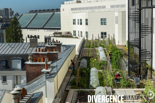 Un Opéra pour des légumes
