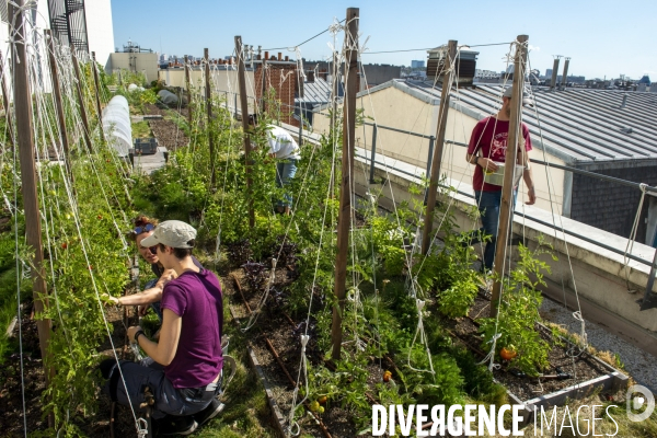 Un Opéra pour des légumes