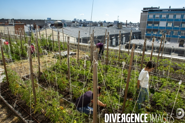 Un Opéra pour des légumes