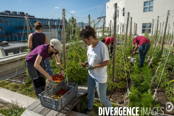 Un Opéra pour des légumes