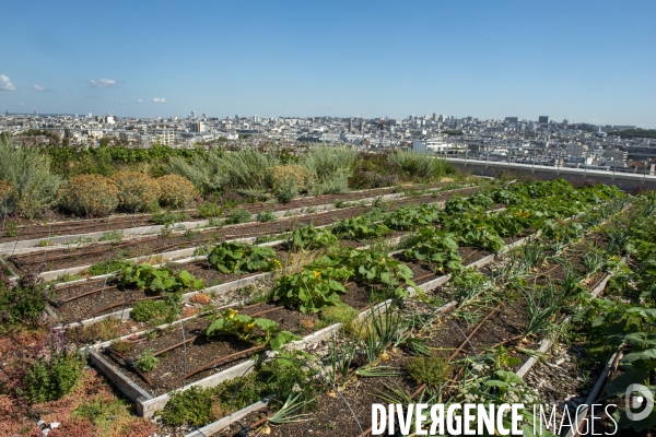 Un Opéra pour des légumes