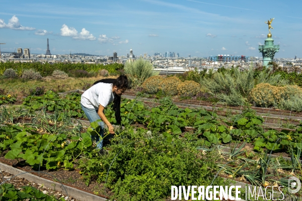 Un Opéra pour des légumes