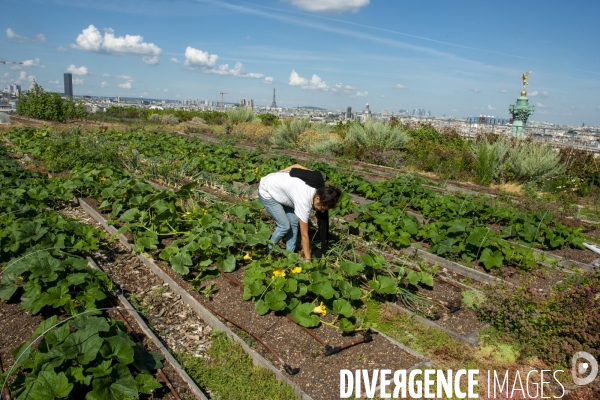 Un Opéra pour des légumes