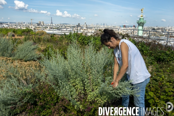 Un Opéra pour des légumes