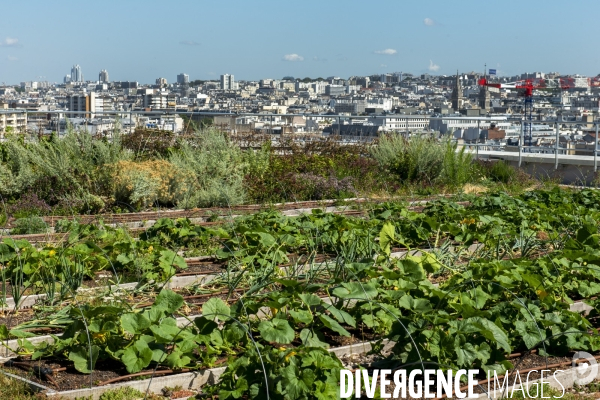 Un Opéra pour des légumes