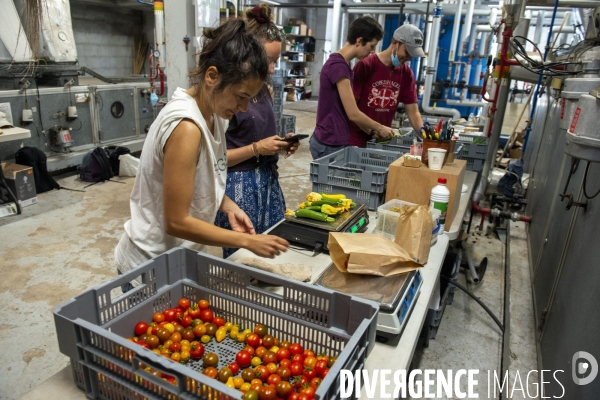 Un Opéra pour des légumes