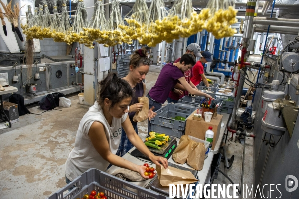 Un Opéra pour des légumes