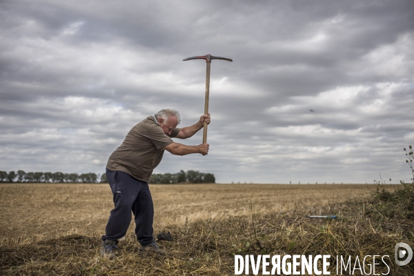 Zad du triangle de gonesse.