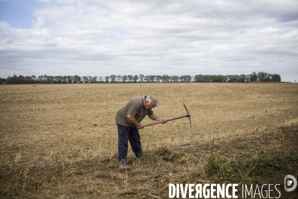 Zad du triangle de gonesse.