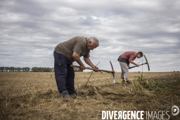 Zad du triangle de gonesse.