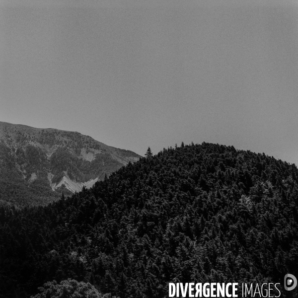 La Vacance (  under Covid at home été 2020)