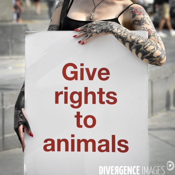 JMFS-Journée Mondiale pour la Fin du Spécisme 2020. World Day for the End of Speciesism.