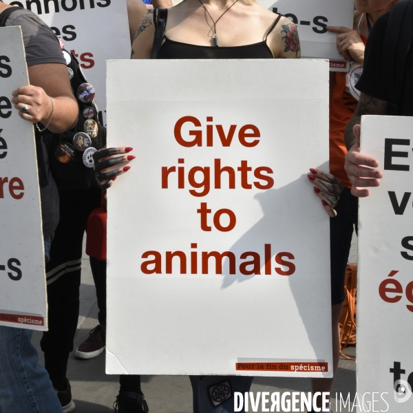 JMFS-Journée Mondiale pour la Fin du Spécisme 2020. World Day for the End of Speciesism.