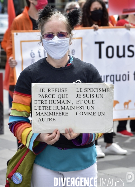 JMFS-Journée Mondiale pour la Fin du Spécisme 2020. World Day for the End of Speciesism.