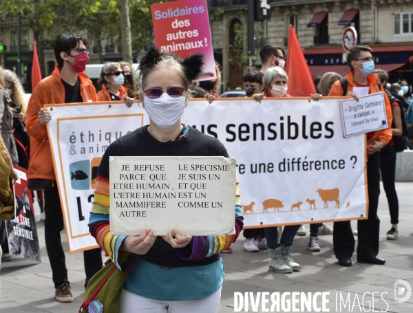 JMFS-Journée Mondiale pour la Fin du Spécisme 2020. World Day for the End of Speciesism.