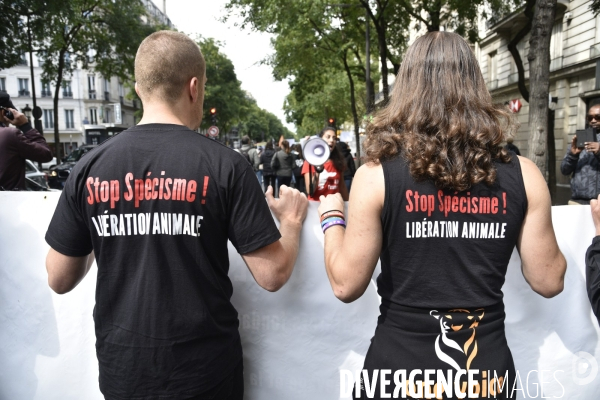 JMFS-Journée Mondiale pour la Fin du Spécisme 2020. World Day for the End of Speciesism.