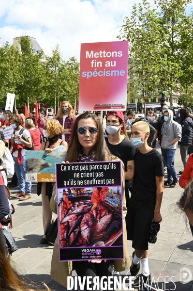 JMFS-Journée Mondiale pour la Fin du Spécisme 2020. World Day for the End of Speciesism.