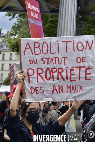 JMFS-Journée Mondiale pour la Fin du Spécisme 2020. World Day for the End of Speciesism.