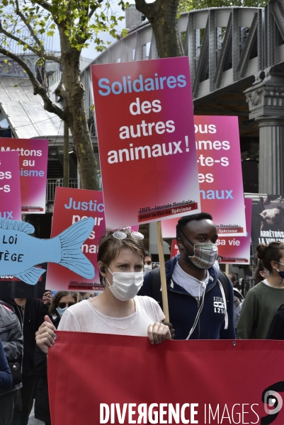 JMFS-Journée Mondiale pour la Fin du Spécisme 2020. World Day for the End of Speciesism.