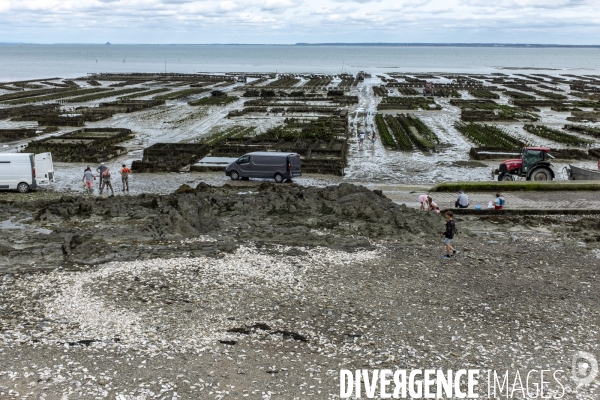 Cancale