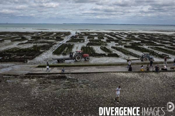 Cancale