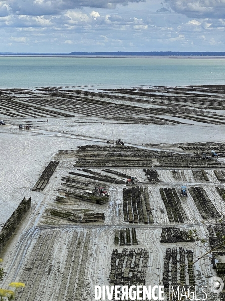 Cancale