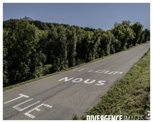 Tour de France sous Covid-19