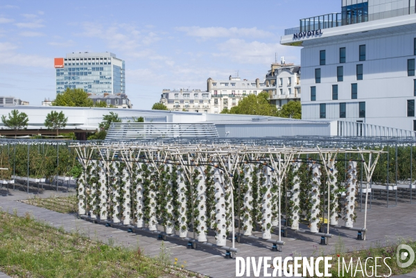 Agriculture urbaine dans paris.