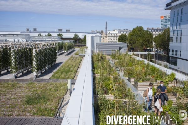 Agriculture urbaine dans paris.