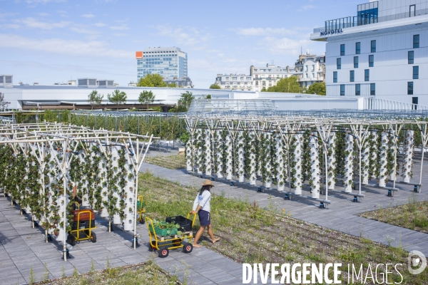 Agriculture urbaine dans paris.