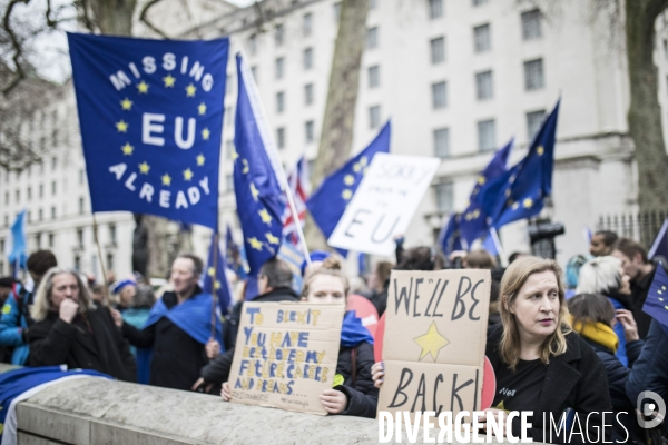 Brexit Day Manifestation des anti Brexit