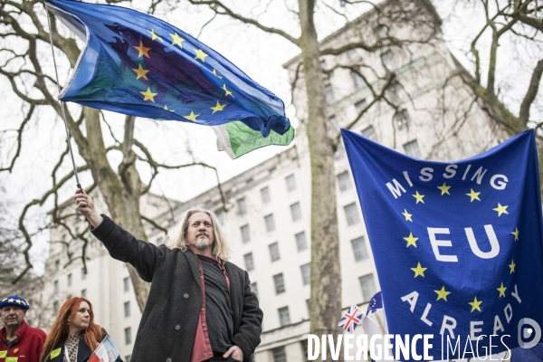 Brexit Day Manifestation des anti Brexit