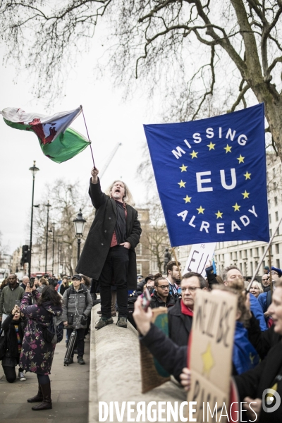 Brexit Day Manifestation des anti Brexit