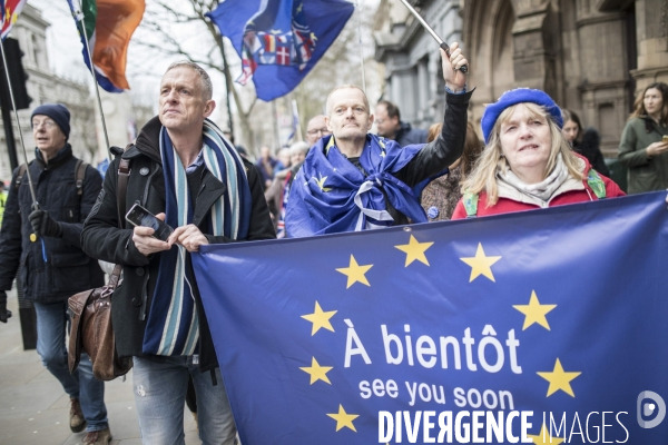 Brexit Day Manifestation des anti Brexit