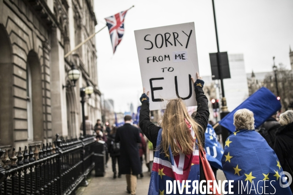 Brexit Day Manifestation des anti Brexit