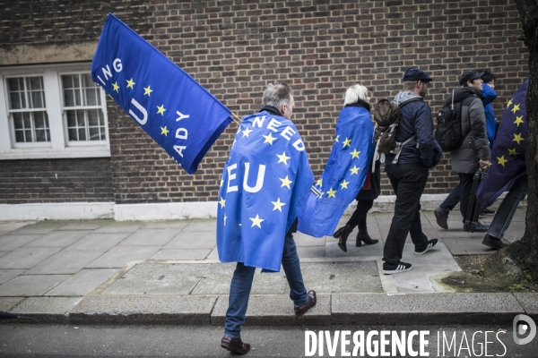 Brexit Day Manifestation des anti Brexit