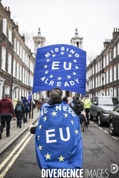 Brexit Day Manifestation des anti Brexit