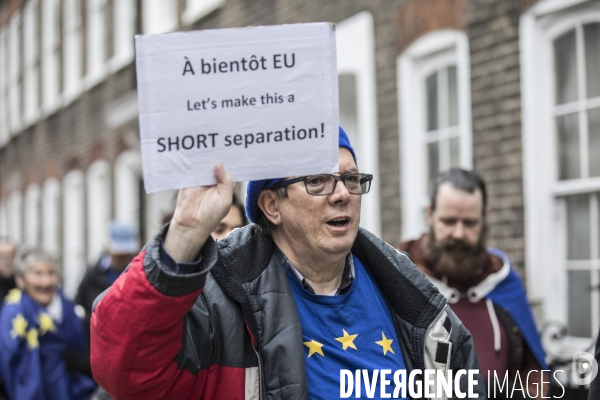 Brexit Day Manifestation des anti Brexit
