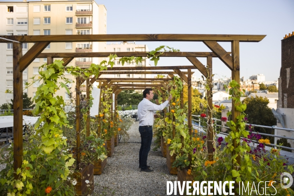 Entreprise cueillette urbaine, specialisee dans l installation de carres potagers en ville.