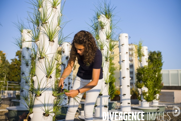 Entreprise cueillette urbaine, specialisee dans l installation de carres potagers en ville.